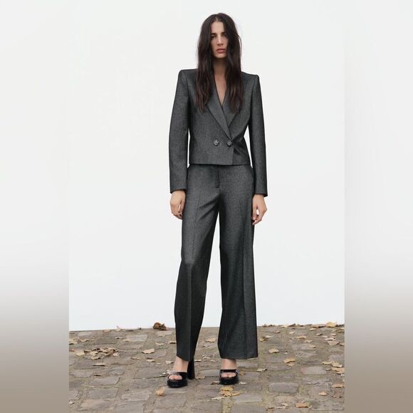 NWT Zara Grey Crop Blazer Short Shiny Size XS - Picture 3 of 12